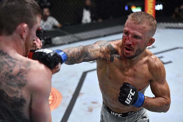 TJ Dillashaw