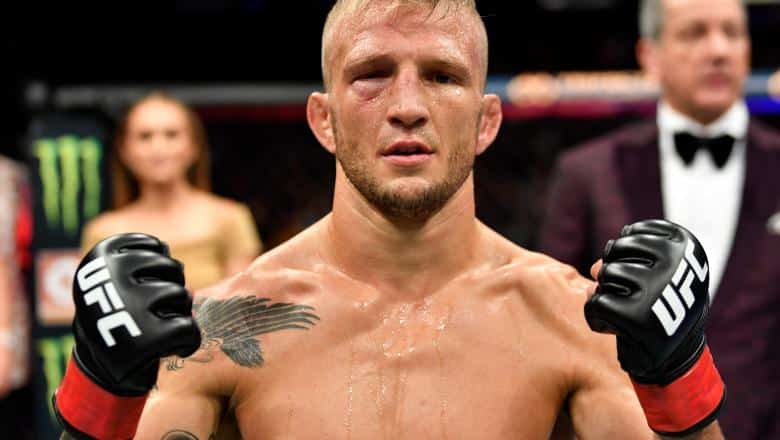 tj dillashaw